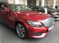 Mercedes-Benz C class C250 Exclusive 2018 - Bán xe Mercedes C250 Exclusive sản xuất 2018, màu đỏ