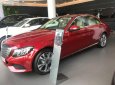Mercedes-Benz C class C250 Exclusive 2018 - Bán xe Mercedes C250 Exclusive sản xuất 2018, màu đỏ