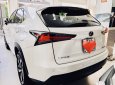 Lexus NX 300 2018 - Bán Lexu Nx300 năm 2017, siêu lướt mới đi 10.000km sản xuất 2018 màu trắng, nhập khẩu nguyên chiếc, bao kiểm tra hãng