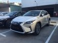 Lexus RX 300 2018 - TPHCM bán xe Lexus RX 300 năm sản xuất 2018, màu vàng, nhập khẩu