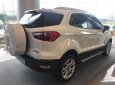 Ford EcoSport Ambiente AT 1.5L 2018 - Ford EcoSport đời 2018 chỉ cần trả 200tr nhận xe, hỗ trợ tốt hơn khi liên hệ, Hotline: 0909.859.069