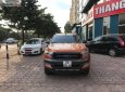 Ford Ranger Wildtrak 2.2L 4x4 AT 2017 - Bán Ford Ranger Wildtrak 2.2L 4x4 AT đời 2017, nhập khẩu, màu cam