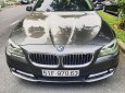 BMW 5 Series 520i 2014 - Bán BMW 5 Series 520i 2014, màu nâu, nhập khẩu