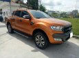 Ford Ranger Wildtrak 3.2L  2017 - Bán Ford Ranger WildTrak 3.2L, sx 2017, ĐK 2018, xe chạy lướt, cực đẹp