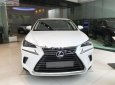 Lexus NX  300 2018 - Bán xe Lexus NX 300 năm 2018, màu trắng, xe nhập