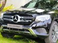 Mercedes-Benz GLC-Class GLC 250 2018 - Bán xe Mercedes GLC 250 sản xuất 2018, màu đen