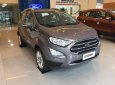 Ford EcoSport  1.5 AT Titanium 2018 - Bán xe Ford EcoSport Ford Ecosport 2018 đời 2018, màu xám (ghi)