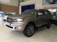 Ford Everest Titanium 2.0L 4x2 AT 2018 - Cần bán xe Ford Everest Titanium 2.0L 4x2 AT 2018, màu vàng, nhập khẩu