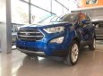 Ford EcoSport  Titanium  2018 - Cần bán xe Ford EcoSport Titanium sản xuất năm 2018, màu xanh lam