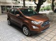 Ford EcoSport 1.0P Titanium 2018 - Hot Hot Hot - Bán Ford Ecosport 1.0P Titanium 2018, giá cực tốt, 8 màu, giao xe ngay hỗ trợ 90% - LH 0914803810