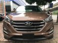 Hyundai Tucson 2015 - Cần bán gấp Hyundai Tucson năm 2015, màu nâu, xe nhập, 850 triệu