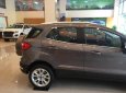 Ford EcoSport  1.5 AT Titanium 2018 - Bán xe Ford EcoSport Ford Ecosport 2018 đời 2018, màu xám (ghi)