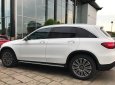 Mercedes-Benz GLC-Class   250 4Matic 2018 - Đại Lý Chính Hãng Lớn Nhất Mercedes bán xe GLC 250 4MATIC giá tốt nhất - Xe mới - Xe giao sớm - Đủ màu