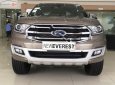 Ford Everest Titanium 2.0L 4x2 AT 2018 - Cần bán xe Ford Everest Titanium 2.0L 4x2 AT 2018, màu vàng, nhập khẩu