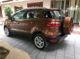 Ford EcoSport 1.0P Titanium 2018 - Hot Hot Hot - Bán Ford Ecosport 1.0P Titanium 2018, giá cực tốt, 8 màu, giao xe ngay hỗ trợ 90% - LH 0914803810