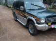 Mitsubishi Pajero   1993 - Bán Mitsubishi Pajero đời 1993, xe nhập, màu xanh dưa