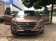 Hyundai Tucson 2015 - Cần bán gấp Hyundai Tucson năm 2015, màu nâu, xe nhập, 850 triệu