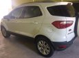 Ford EcoSport Titanium 2018 - Bán Ecosport Titanium 2015, xe gia đình, còn mới, bão dưỡng hãng