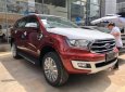 Ford Everest 2018 - Bán Ford Everest năm sản xuất 2018, màu đỏ