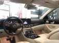 Mercedes-Benz E class E250 2018 - Bán Mercedes E250 năm sản xuất 2018