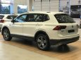 Volkswagen Tiguan Allspace 2018 - Cần bán xe Volkswagen Tiguan Allspace sản xuất 2018, màu trắng 