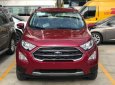 Ford EcoSport Titanium 2018 - Giá ưu đãi tốt cho chuyên gia đường phố, bán Ford Ecosport Titanium, đủ màu giao ngay. 0968.912.236