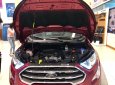Ford EcoSport Titanium 2018 - Giá ưu đãi tốt cho chuyên gia đường phố, bán Ford Ecosport Titanium, đủ màu giao ngay. 0968.912.236
