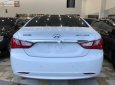 Hyundai Sonata Y20 2011 - Bán Hyundai Sonata Y20 2011, màu trắng, xe nhập 