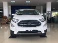 Ford EcoSport  Titanium AT 2018 - Bán Ford EcoSport năm sản xuất 2018, màu trắng giá tốt