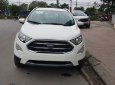 Ford EcoSport Titanium 2018 - Bán Ford EcoSport Titanium đời 2018, giá sập sàn... 0968.912.236