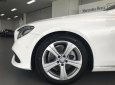 Mercedes-Benz E class 2017 - Bán Mercedes E250 2017 cũ, màu trắng, nội thất đen, 20km