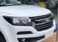 Chevrolet Colorado   2018 - Bán Chevrolet Colorado đời 2018, màu trắng, giá 594tr