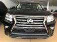 Lexus GX Luxury 2018 - Bán Lexus GX460 Luxury xuất Mỹ, sản xuất tháng 6.2018, model 2018 mới 100%