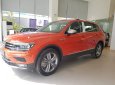 Volkswagen Tiguan Allsapce 2018 - Bán xe Volkswagen Tiguan Allsapce 2018 giao ngay giá tốt nhất – Hotline: 0909 717 983