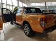 Ford Ranger Wildtrak 2.0L 4x4 AT 2018 - Bán xe Ford Ranger Wildtrak 2.0L và XLS 2.2L 2018, nhập khẩu nguyên chiếc từ Thái, giá cạnh tranh, LH ngay: 093.543.7595