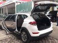 Hyundai Santa Fe 2.0   2017 - Bán xe Hyundai Santa Fe 2.0 đời 2017, màu trắng, nhập khẩu nguyên chiếc giá cạnh tranh