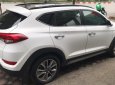 Hyundai Santa Fe 2.0   2017 - Bán xe Hyundai Santa Fe 2.0 đời 2017, màu trắng, nhập khẩu nguyên chiếc giá cạnh tranh