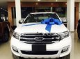 Ford Everest Titanium 4x2 2018 - Cần bán Ford Everest Titanium 4x2 năm sản xuất 2018, màu trắng, nhập khẩu, nhanh tay liên hệ