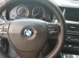 BMW 5 Series 523 2010 - Bán xe BMW 5 Series 523 đời 2010, màu đen, nhập khẩu 