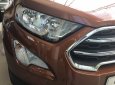 Ford EcoSport Titanium 2018 - Bán Ford Ecosport 2018 - ưu đãi khủng