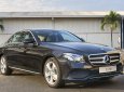 Mercedes-Benz E class E250 2018 - Bán xe Mercedes E250 2018