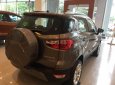 Ford EcoSport Titanium 1.5L AT 2018 - Bán Ford EcoSport Titanium 2018, màu xám (ghi) chỉ cần 200tr nhận xe ngay - LH: 0988551618