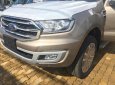 Ford Everest Titanium 4x2 2018 - Bán Ford Everest Titanium 4x2 sản xuất năm 2018, màu vàng, giao ngay, pk: Phim, bảo hiểm