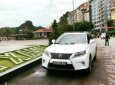 Lexus RX 350 2010 - Cần bán gấp Lexus RX 350 đời 2010, màu trắng, nhập khẩu nguyên chiếc