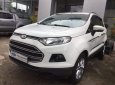 Ford EcoSport 2015 - Bán Ford EcoSport đời 2015, màu trắng xe gia đình