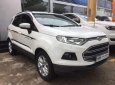 Ford EcoSport 2015 - Bán Ford EcoSport đời 2015, màu trắng xe gia đình