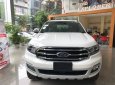 Ford Everest Titanium 4x4 Bi-Turbo 2018 - Bán xe Ford Everest 2018 màu trắng bản Titanium Bi-turbo giá rẻ nhất Hà Nội - Call: 084.627.9999