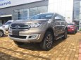 Ford Everest Titanium 4x2 2018 - Bán Ford Everest Titanium 4x2 sản xuất năm 2018, màu vàng, giao ngay, pk: Phim, bảo hiểm