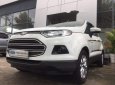 Ford EcoSport 2015 - Bán Ford EcoSport đời 2015, màu trắng xe gia đình