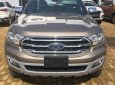 Ford Everest Titanium 4x2 2018 - Bán Ford Everest Titanium 4x2 sản xuất năm 2018, màu vàng, giao ngay, pk: Phim, bảo hiểm